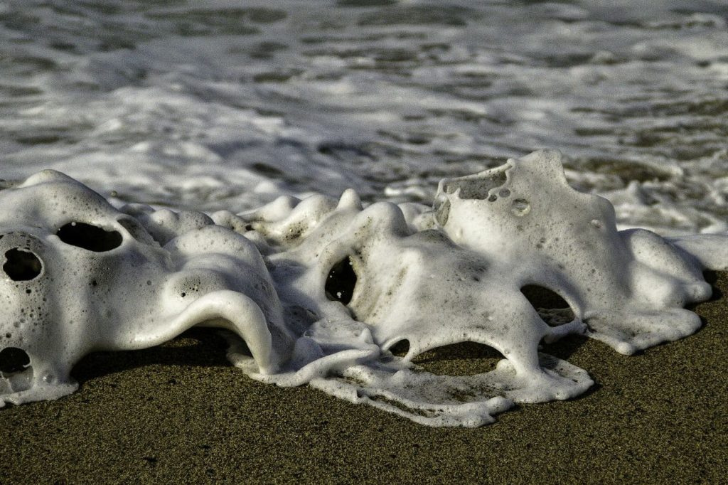 5 Odd and Unexpected Things That Washed on the Beach in 2021