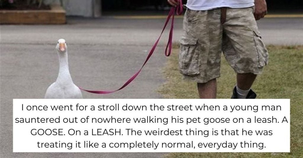 25+ Bizarre Things People Have Witnessed in Public That Made Us Go, “Are We the Only Ones Seeing This?”