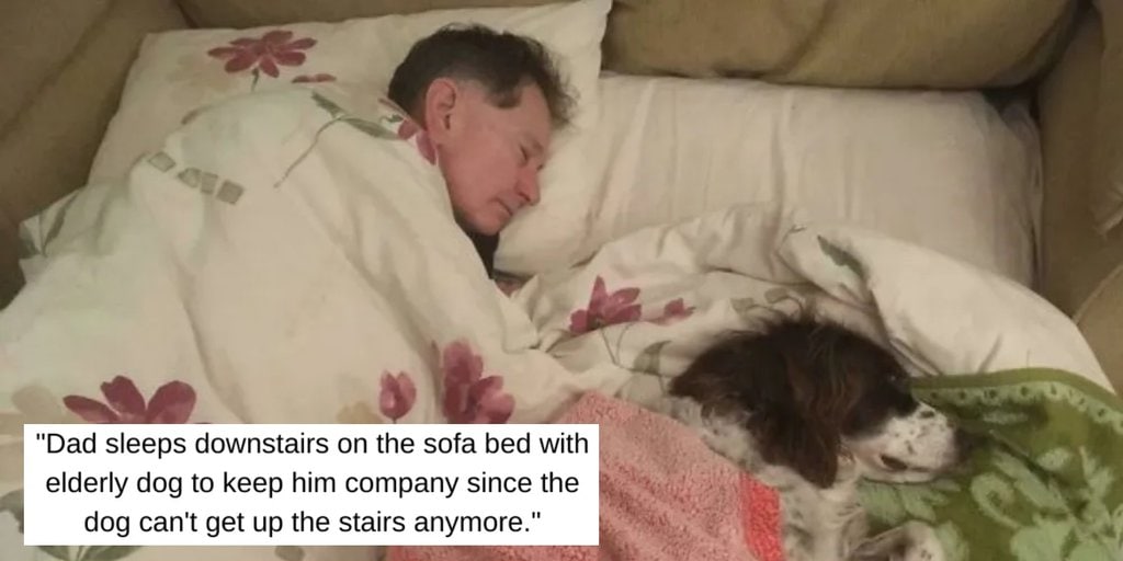 When Feeling Down, These 45 Wholesome Pics Are Sure to Lift You Up
