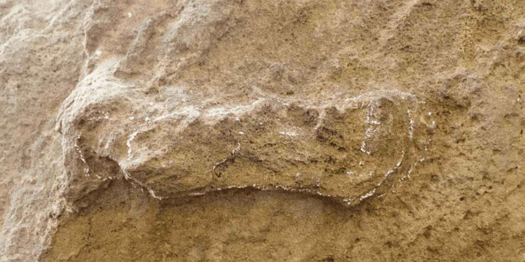 153,000-Year-Old Footprints From South Africa Are the Oldest Homo Sapiens Tracks on Record